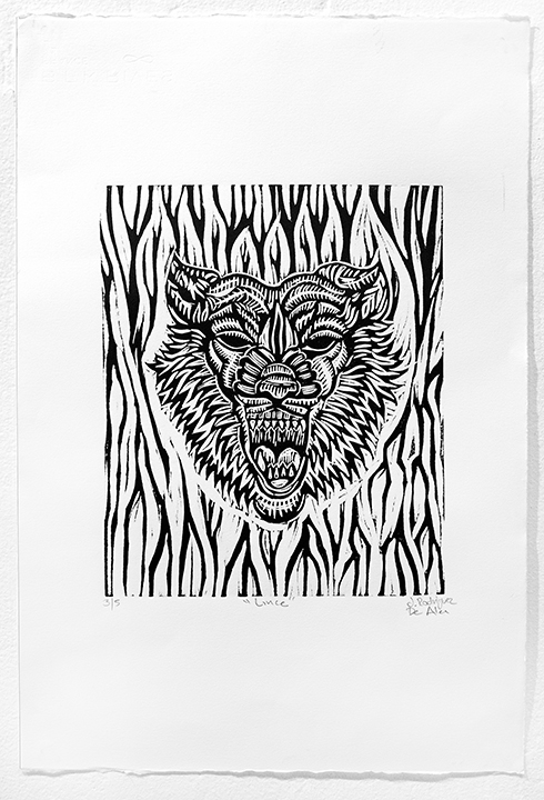 Lince.jpg