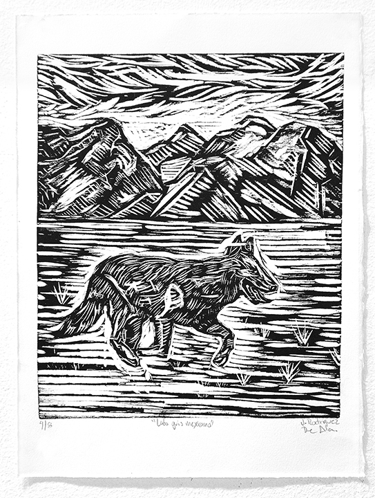 Lobo-Gris-Mexicano.jpg